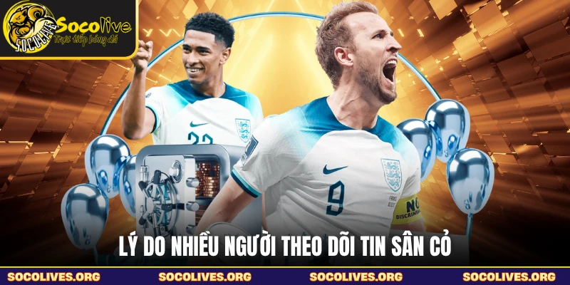 Lý do nhiều người theo dõi tin sân cỏ